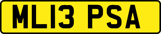 ML13PSA