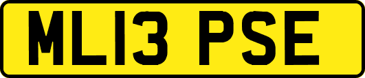 ML13PSE