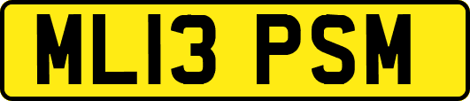 ML13PSM