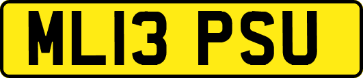 ML13PSU