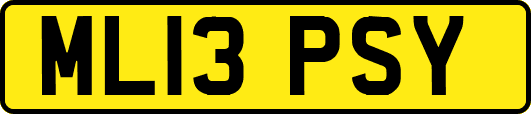 ML13PSY