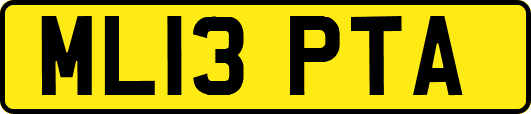 ML13PTA