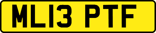 ML13PTF