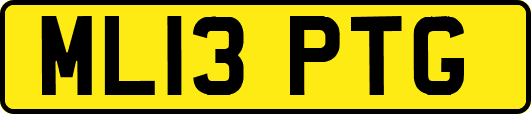 ML13PTG