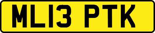 ML13PTK