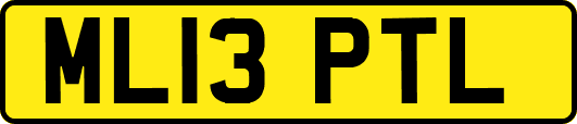 ML13PTL