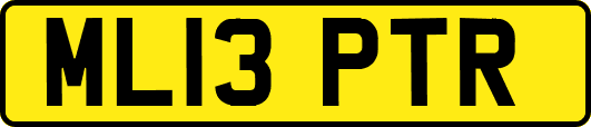 ML13PTR