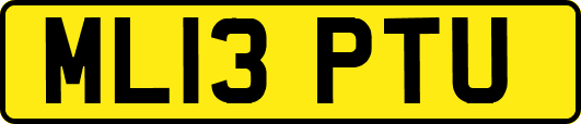 ML13PTU