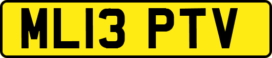 ML13PTV