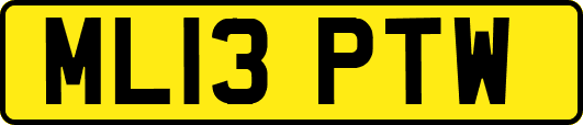 ML13PTW