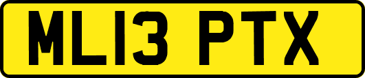 ML13PTX
