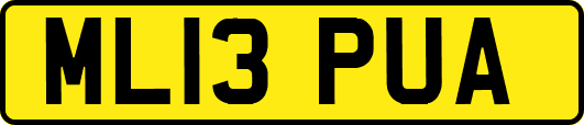 ML13PUA