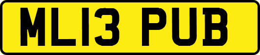 ML13PUB