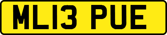 ML13PUE