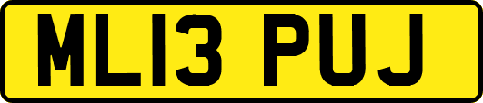 ML13PUJ