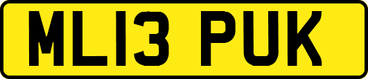 ML13PUK