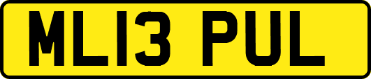 ML13PUL