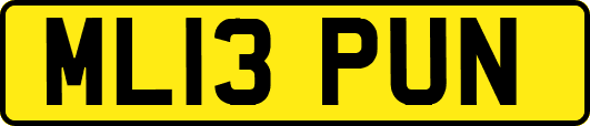 ML13PUN