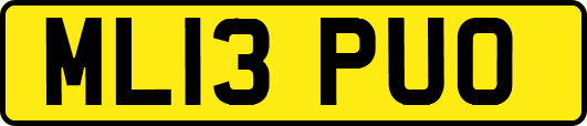 ML13PUO