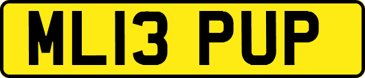 ML13PUP