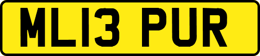 ML13PUR