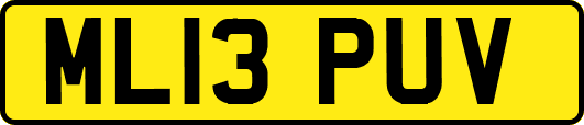 ML13PUV