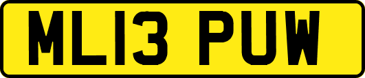 ML13PUW
