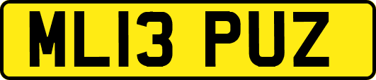 ML13PUZ