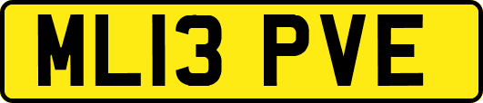ML13PVE
