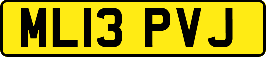 ML13PVJ