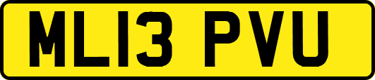 ML13PVU