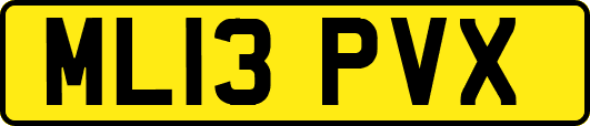 ML13PVX