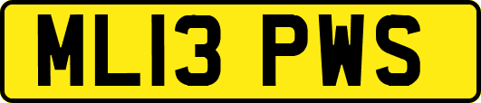 ML13PWS