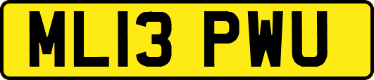 ML13PWU