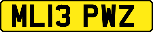 ML13PWZ