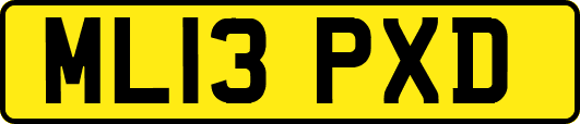 ML13PXD