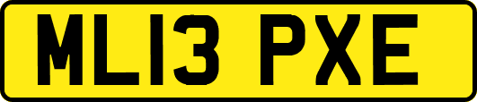 ML13PXE