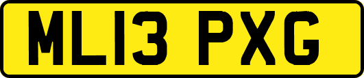 ML13PXG