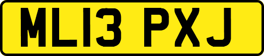 ML13PXJ