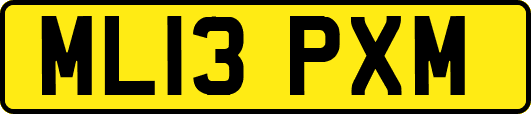 ML13PXM