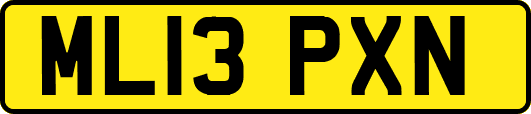 ML13PXN