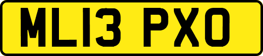 ML13PXO