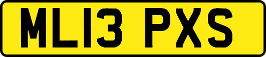 ML13PXS