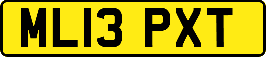 ML13PXT
