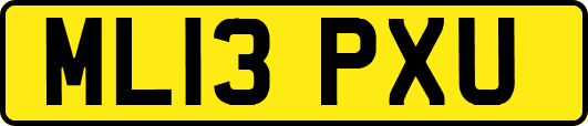 ML13PXU
