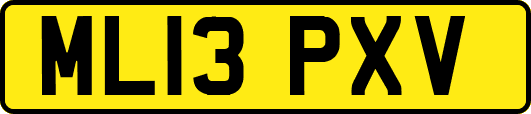 ML13PXV