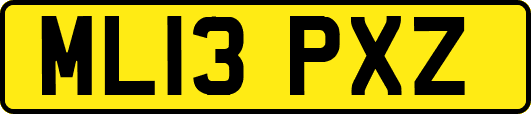 ML13PXZ