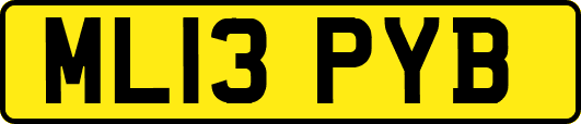 ML13PYB