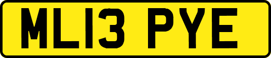 ML13PYE
