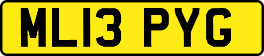 ML13PYG
